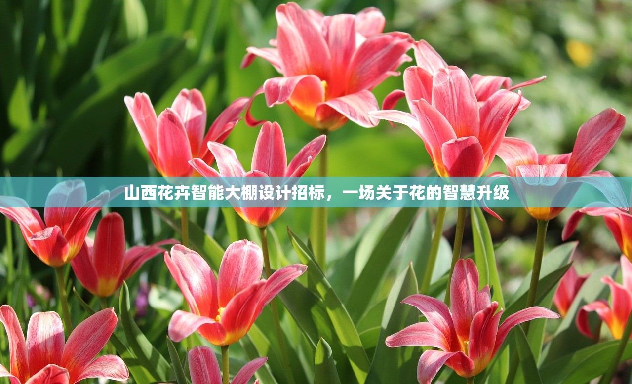 山西花卉智能大棚设计招标，一场关于花的智慧升级