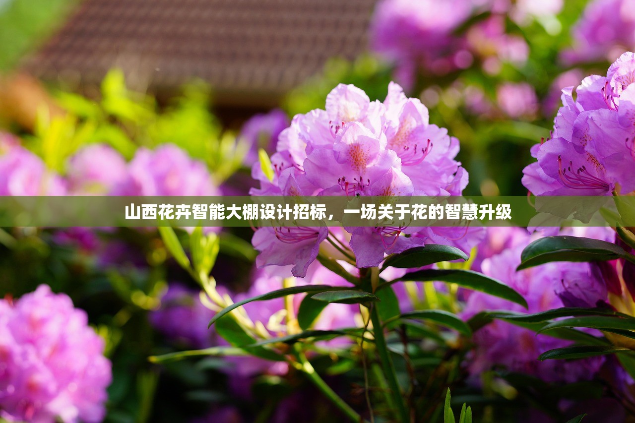 山西花卉智能大棚设计招标，一场关于花的智慧升级
