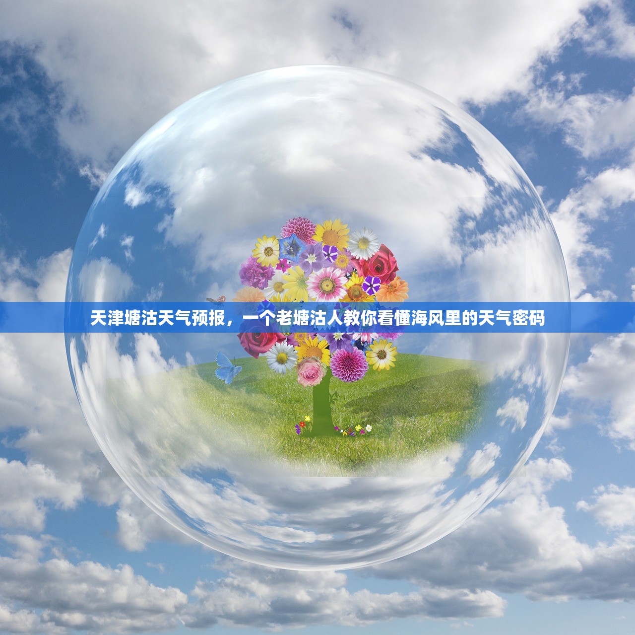天津塘沽天气预报，一个老塘沽人教你看懂海风里的天气密码