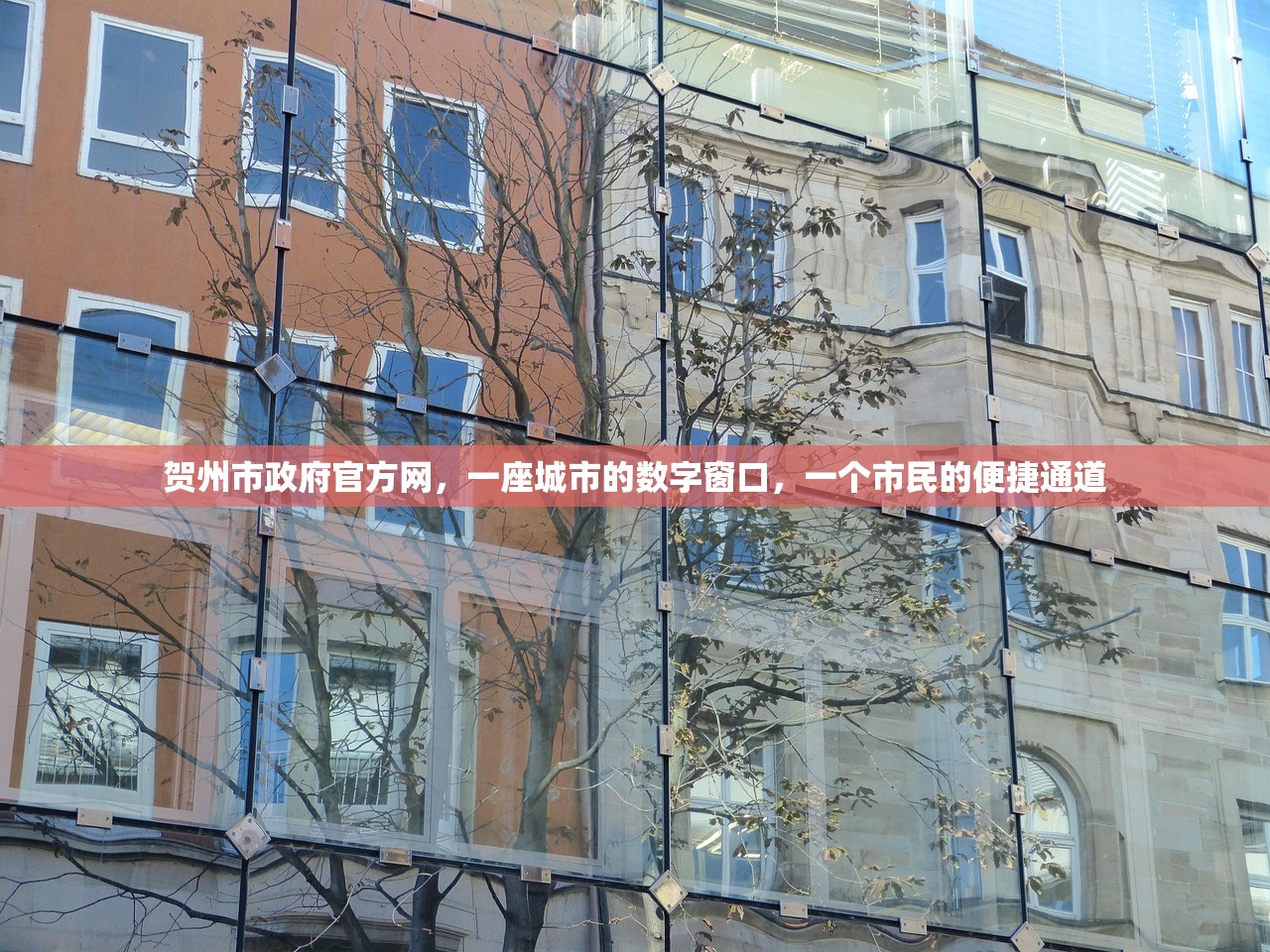 贺州市政府官方网，一座城市的数字窗口，一个市民的便捷通道