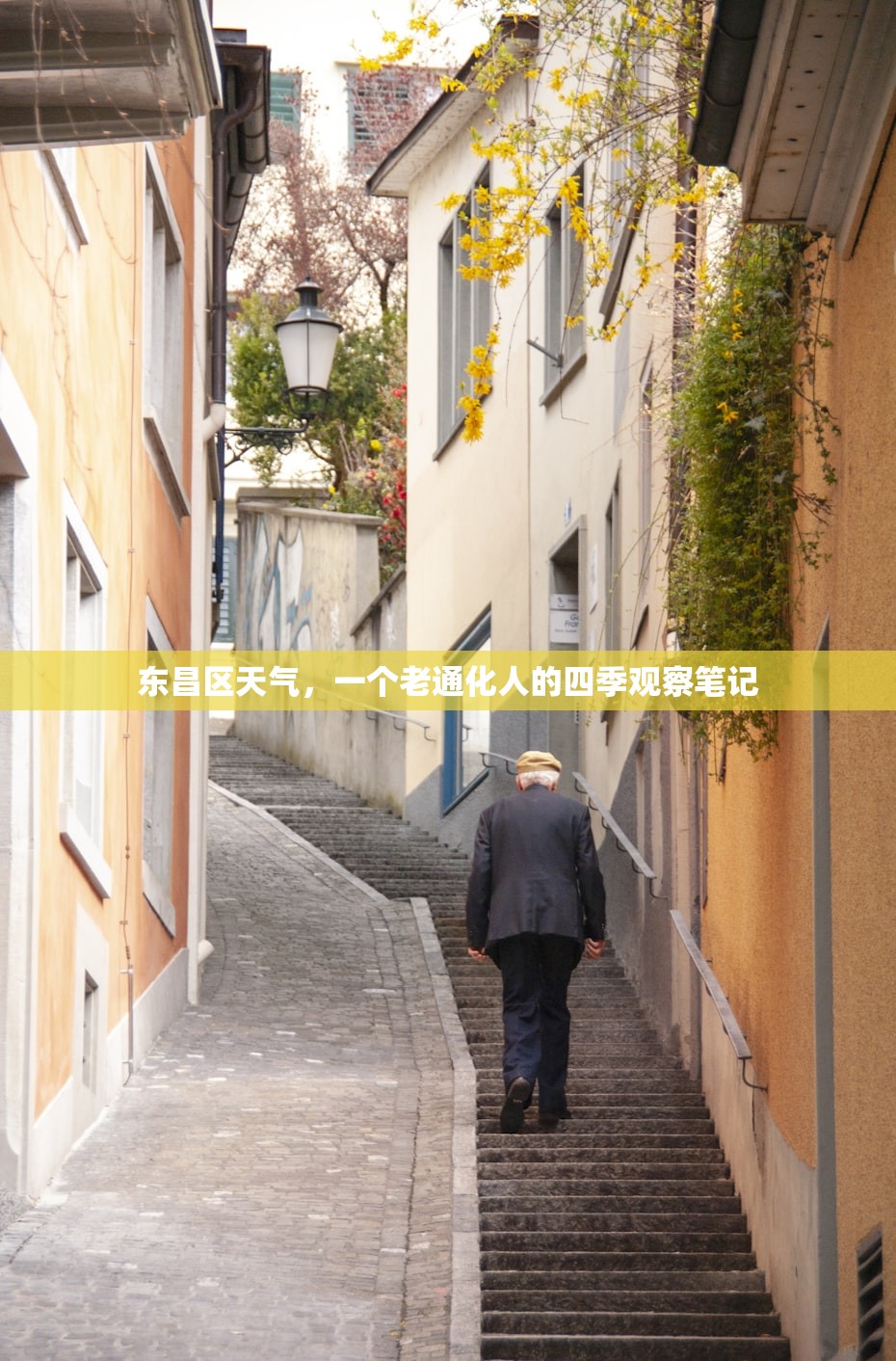 东昌区天气，一个老通化人的四季观察笔记