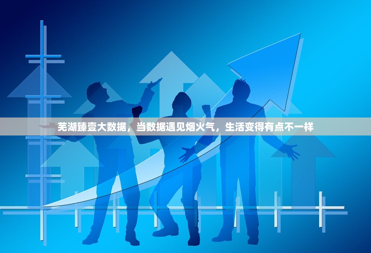 芜湖臻壹大数据，当数据遇见烟火气，生活变得有点不一样