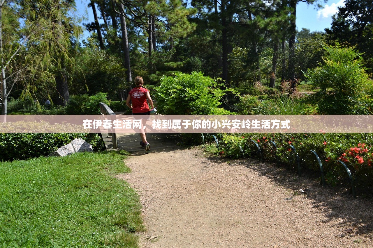 在伊春生活网，找到属于你的小兴安岭生活方式