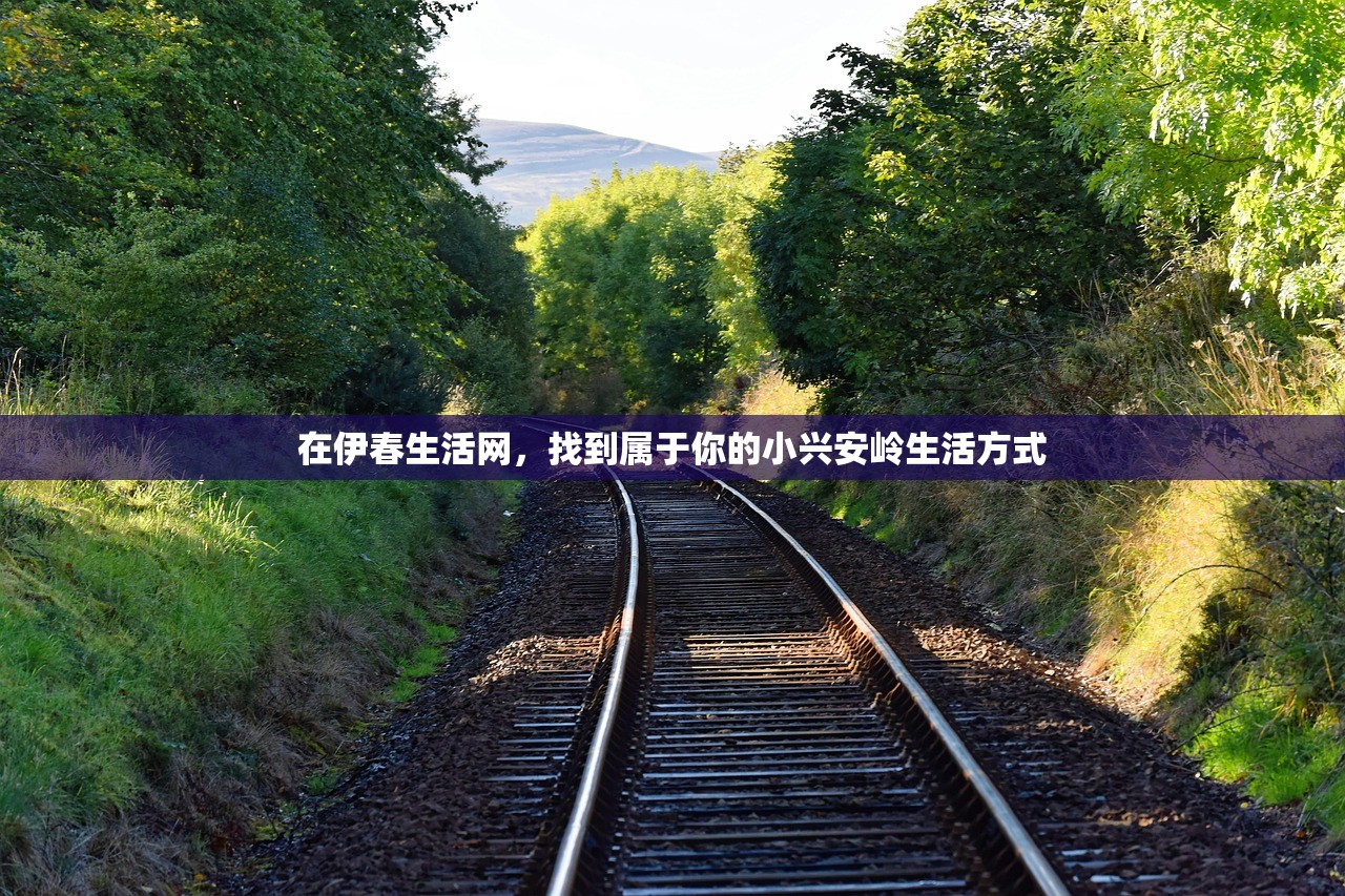 在伊春生活网，找到属于你的小兴安岭生活方式