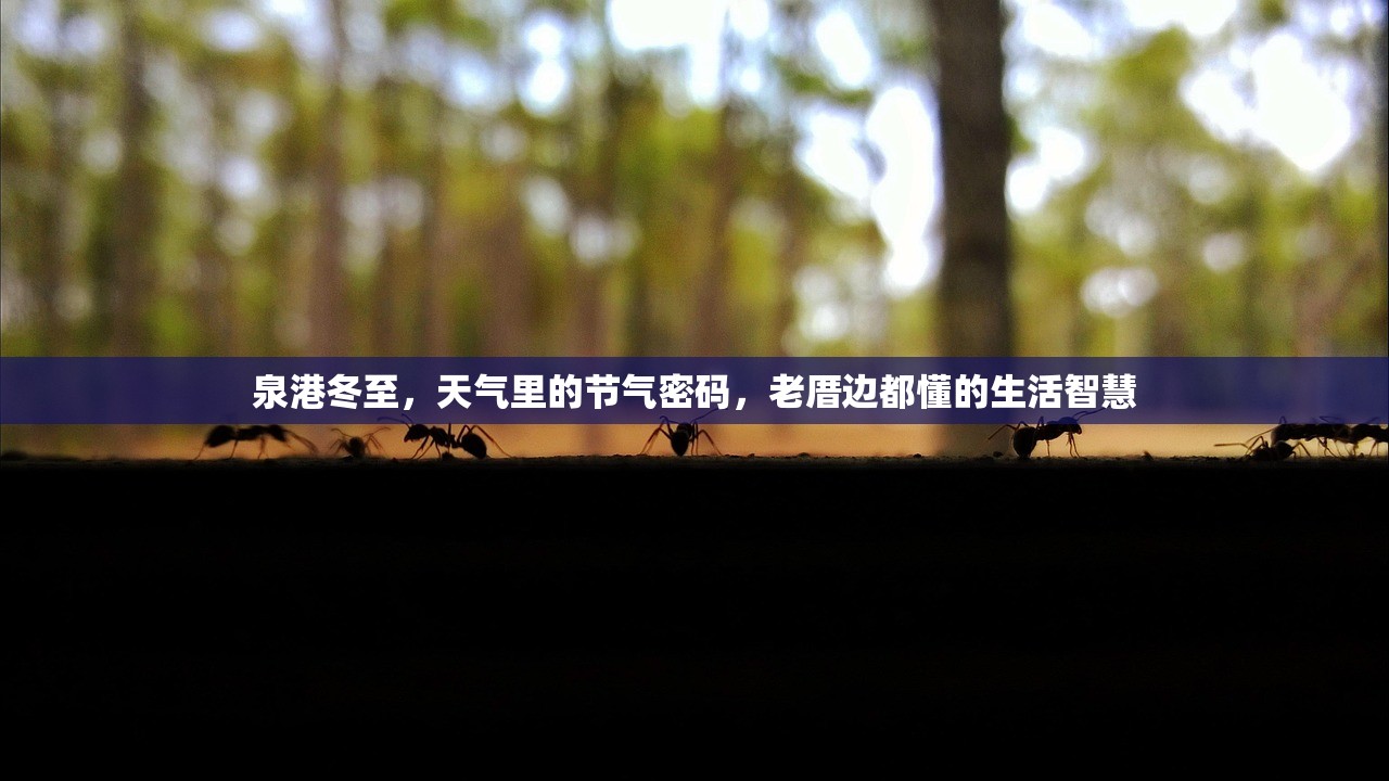 泉港冬至，天气里的节气密码，老厝边都懂的生活智慧