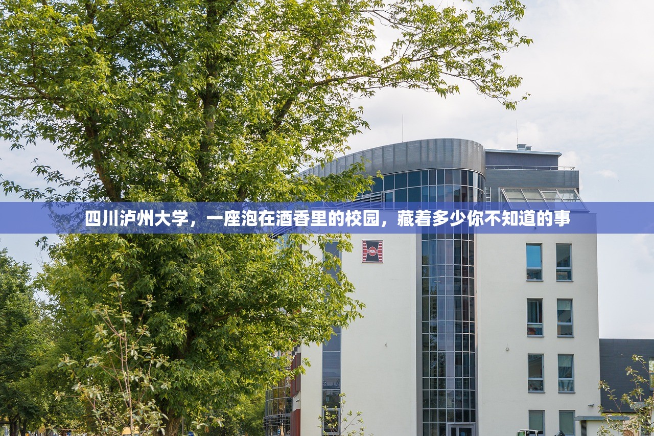 四川泸州大学，一座泡在酒香里的校园，藏着多少你不知道的事
