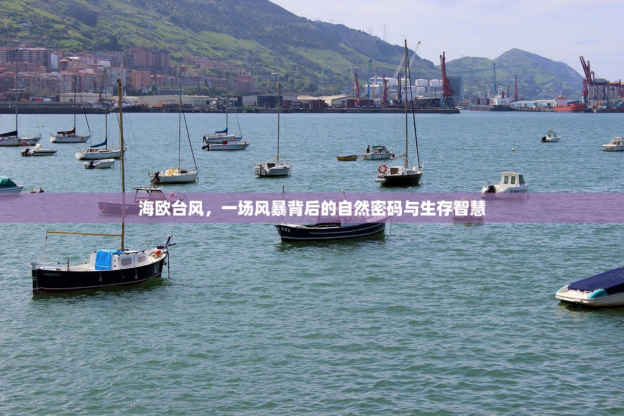 海欧台风，一场风暴背后的自然密码与生存智慧