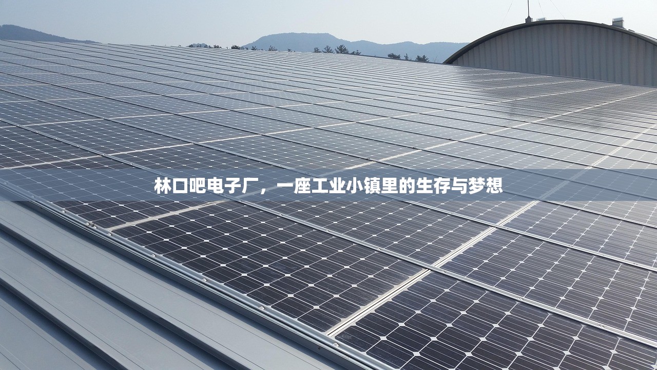 林口吧电子厂，一座工业小镇里的生存与梦想