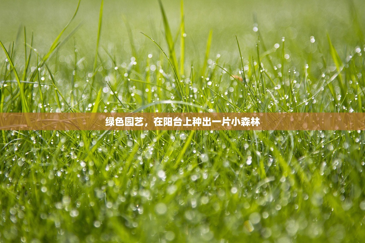 绿色园艺，在阳台上种出一片小森林