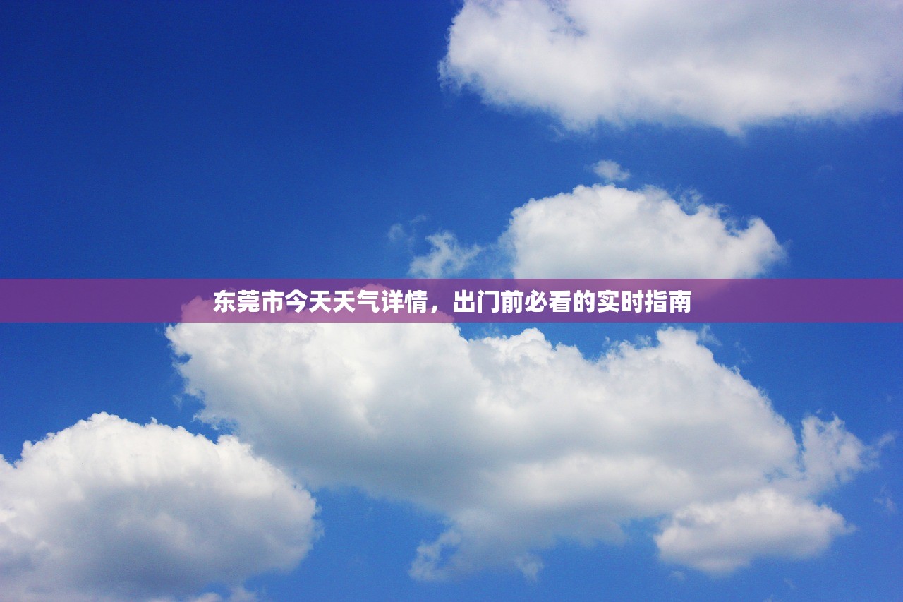 东莞市今天天气详情，出门前必看的实时指南