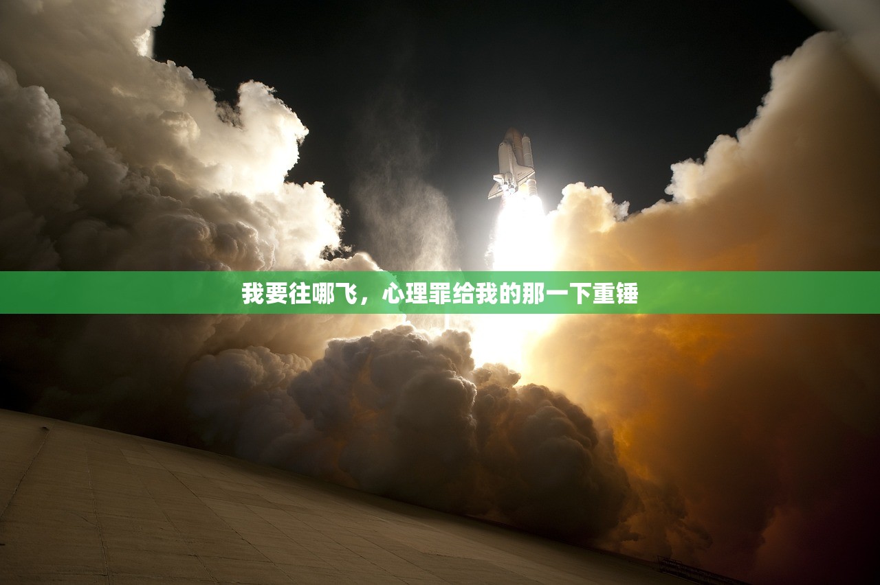 我要往哪飞，心理罪给我的那一下重锤