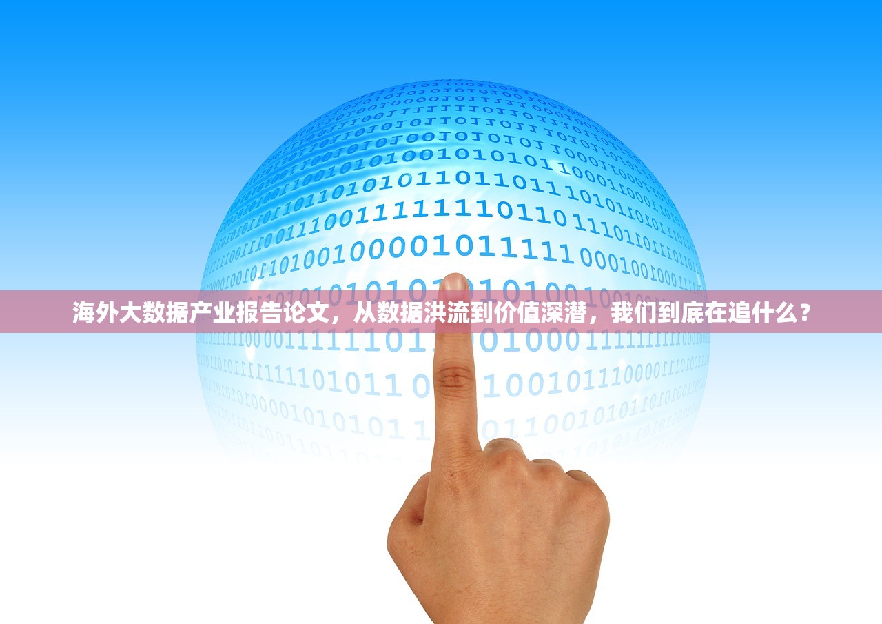 海外大数据产业报告论文，从数据洪流到价值深潜，我们到底在追什么？