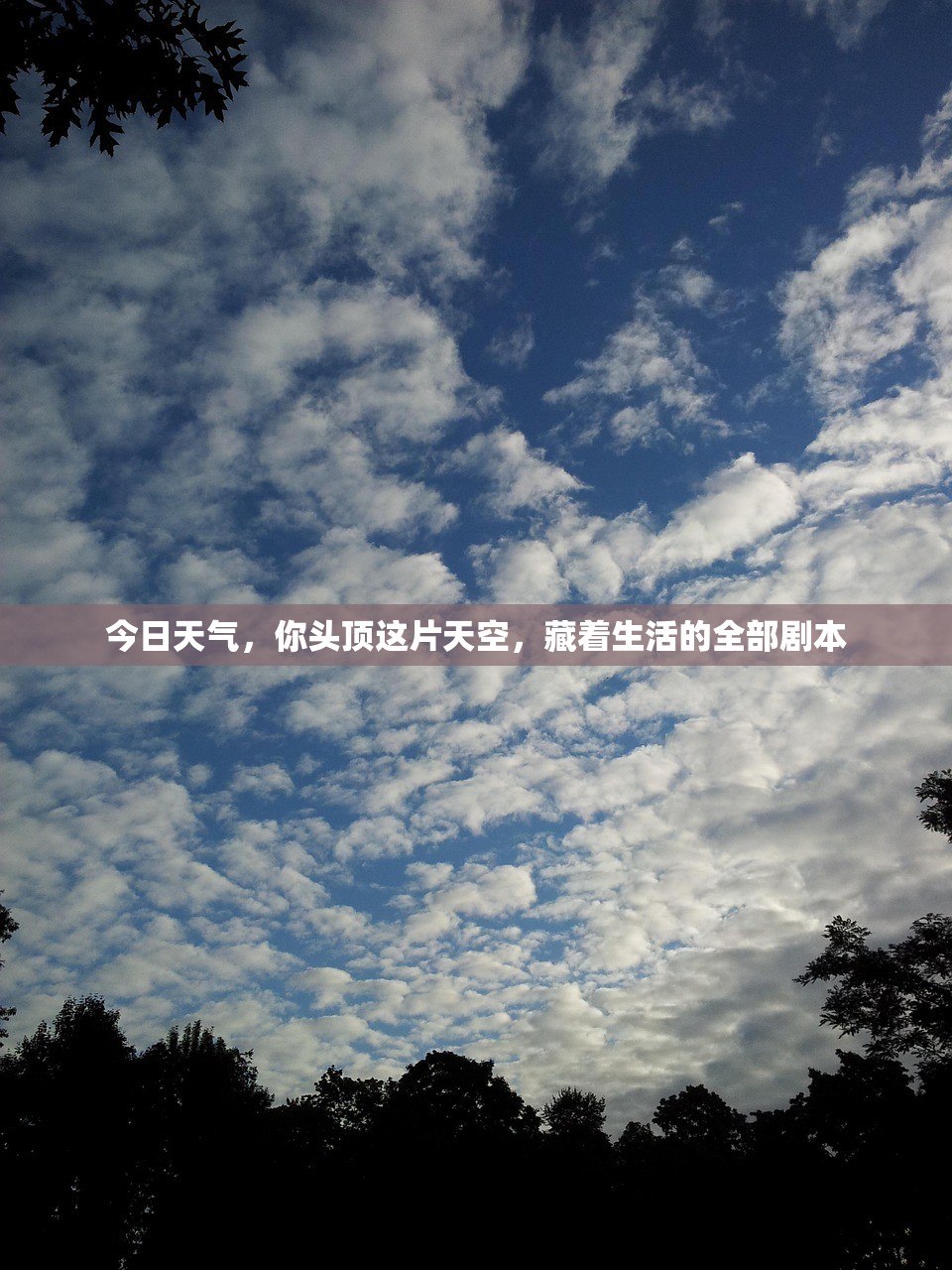 今日天气，你头顶这片天空，藏着生活的全部剧本