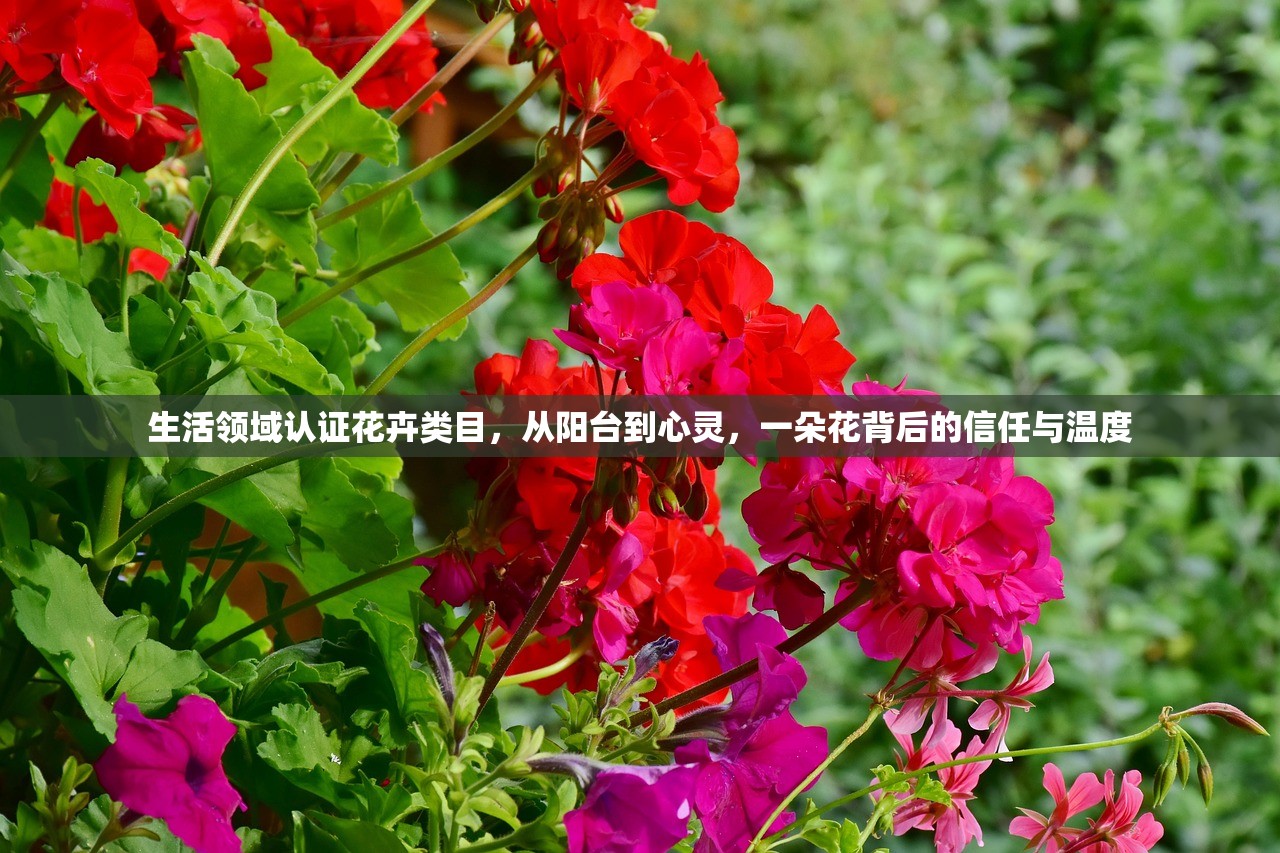 生活领域认证花卉类目，从阳台到心灵，一朵花背后的信任与温度