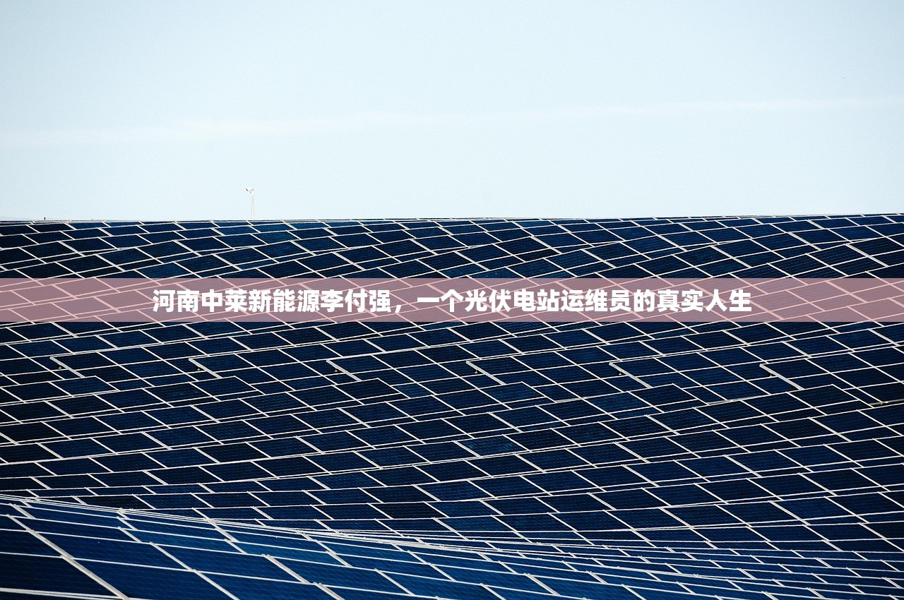 河南中莱新能源李付强，一个光伏电站运维员的真实人生
