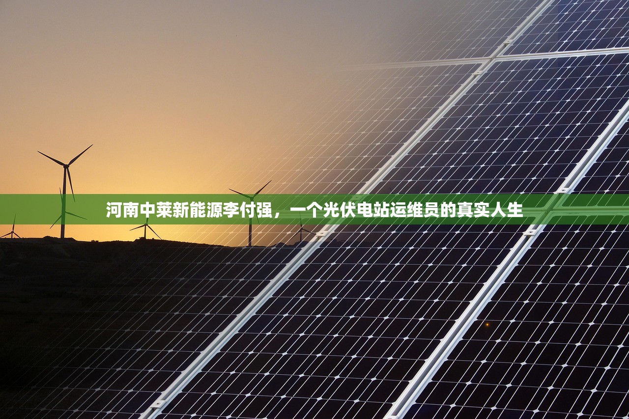 河南中莱新能源李付强，一个光伏电站运维员的真实人生