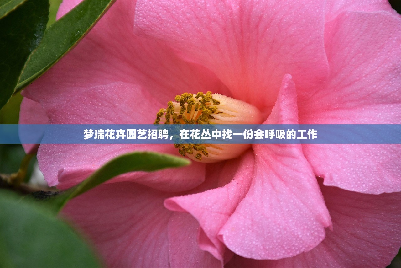 梦瑞花卉园艺招聘，在花丛中找一份会呼吸的工作