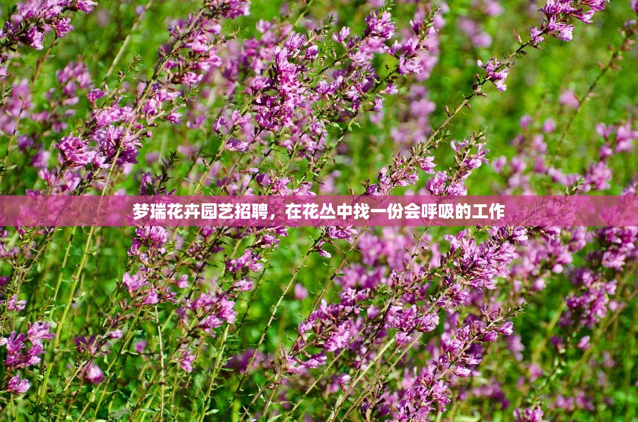 梦瑞花卉园艺招聘，在花丛中找一份会呼吸的工作