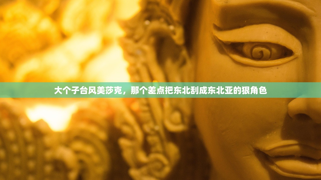 大个子台风美莎克，那个差点把东北刮成东北亚的狠角色