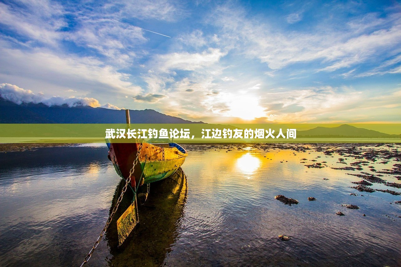 武汉长江钓鱼论坛，江边钓友的烟火人间