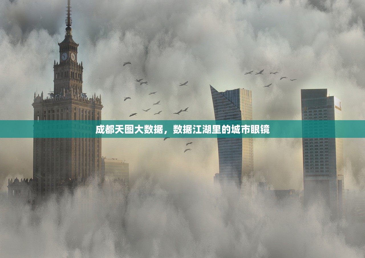 成都天图大数据，数据江湖里的城市眼镜