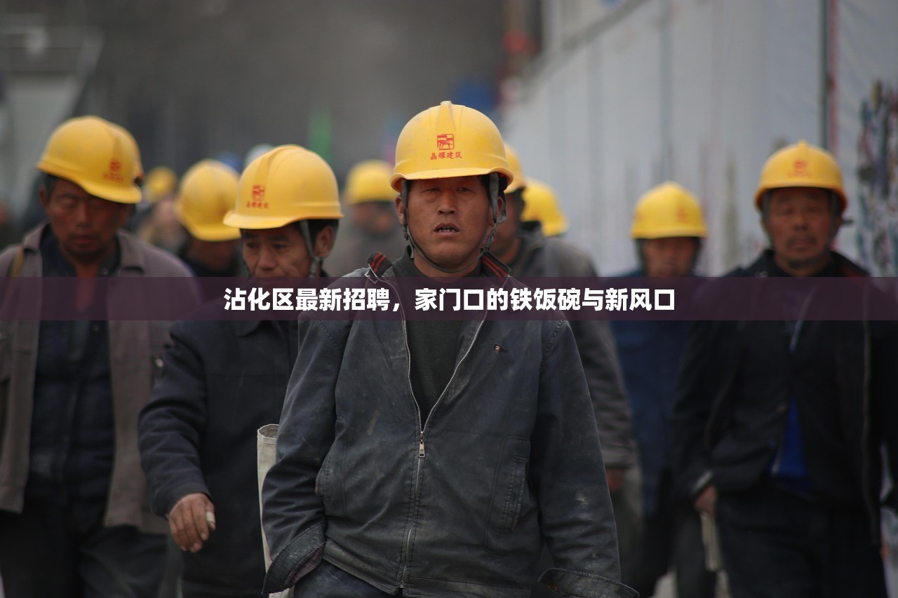 沾化区最新招聘，家门口的铁饭碗与新风口