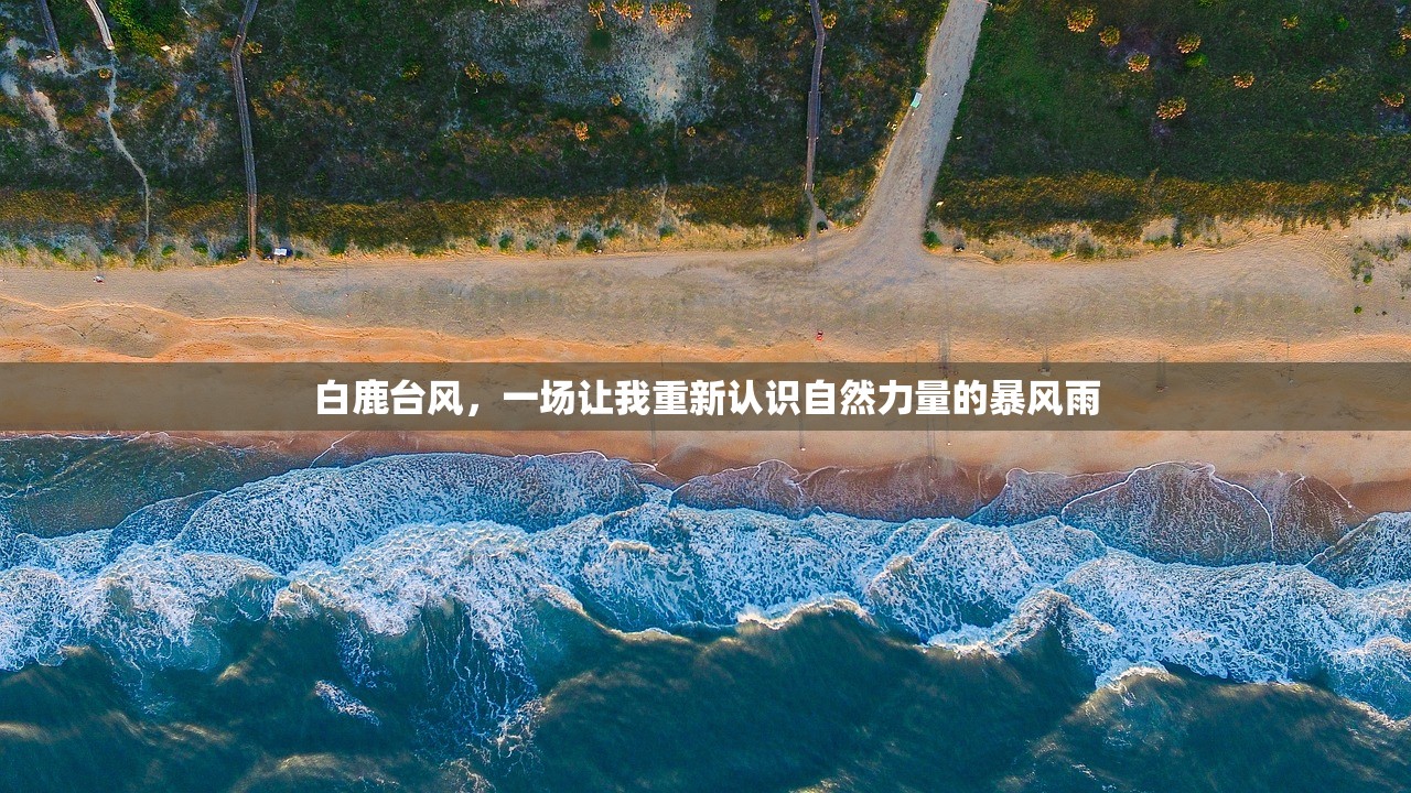白鹿台风，一场让我重新认识自然力量的暴风雨