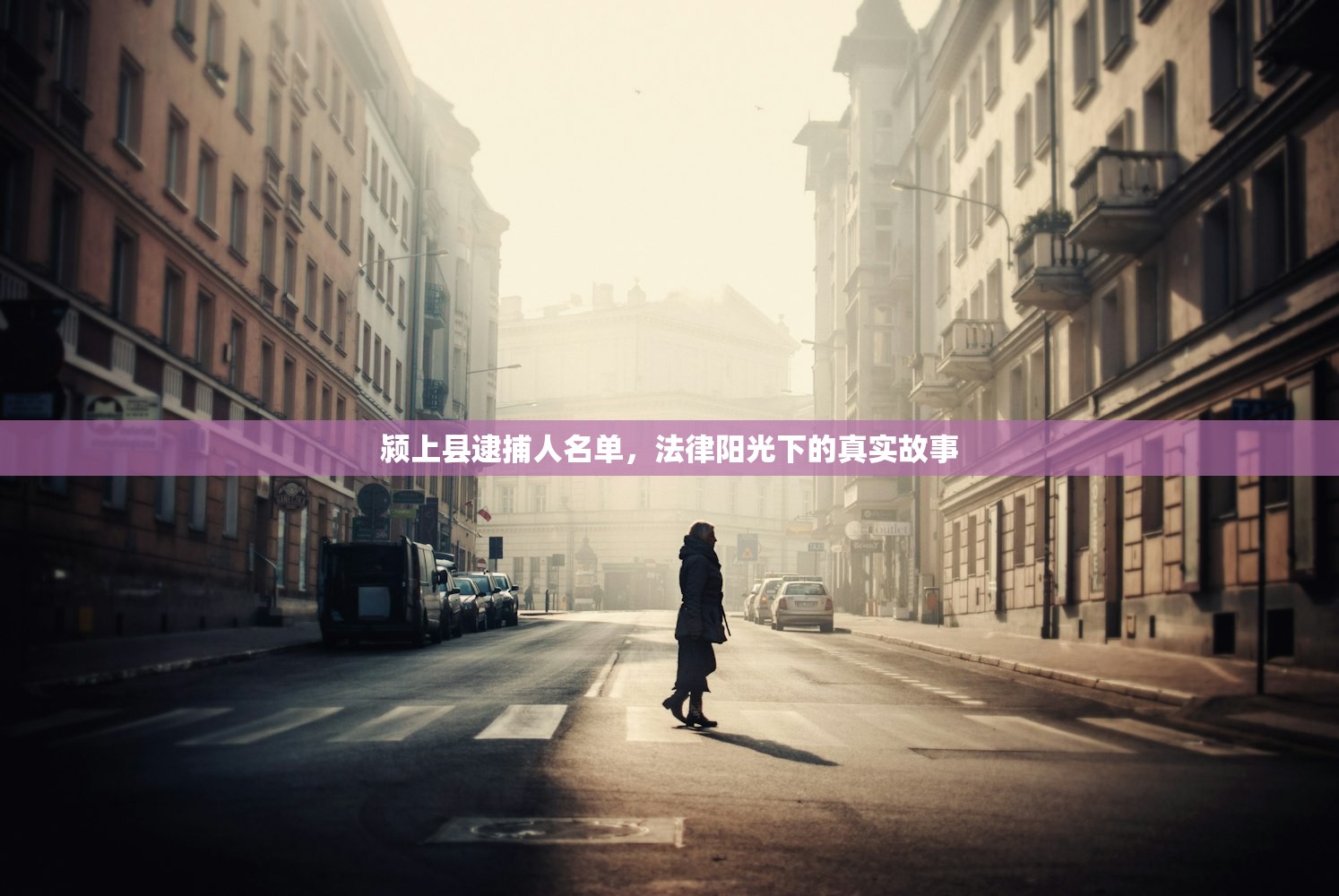 颍上县逮捕人名单，法律阳光下的真实故事