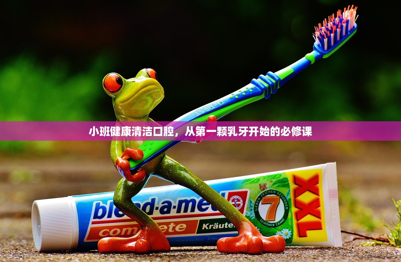 小班健康清洁口腔，从第一颗乳牙开始的必修课