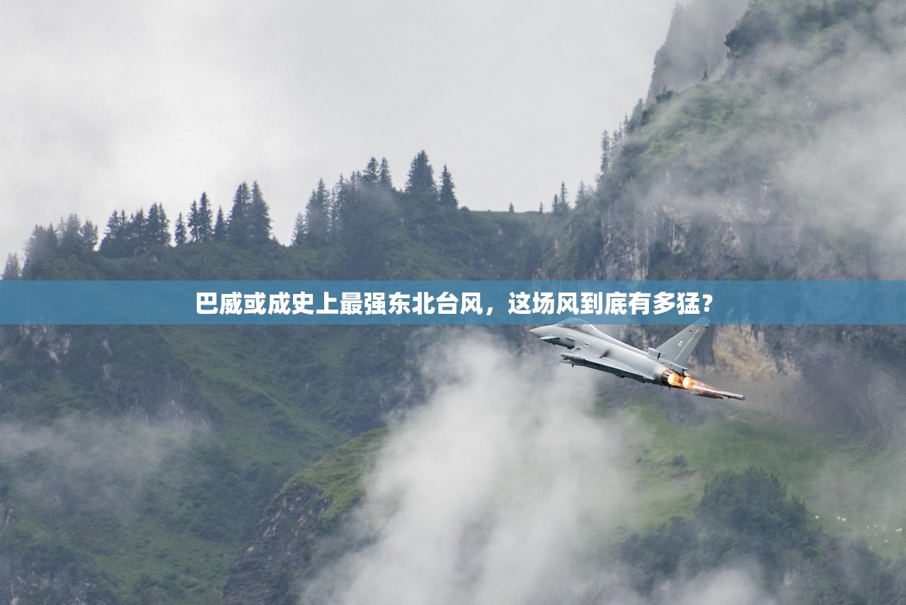 巴威或成史上最强东北台风，这场风到底有多猛？