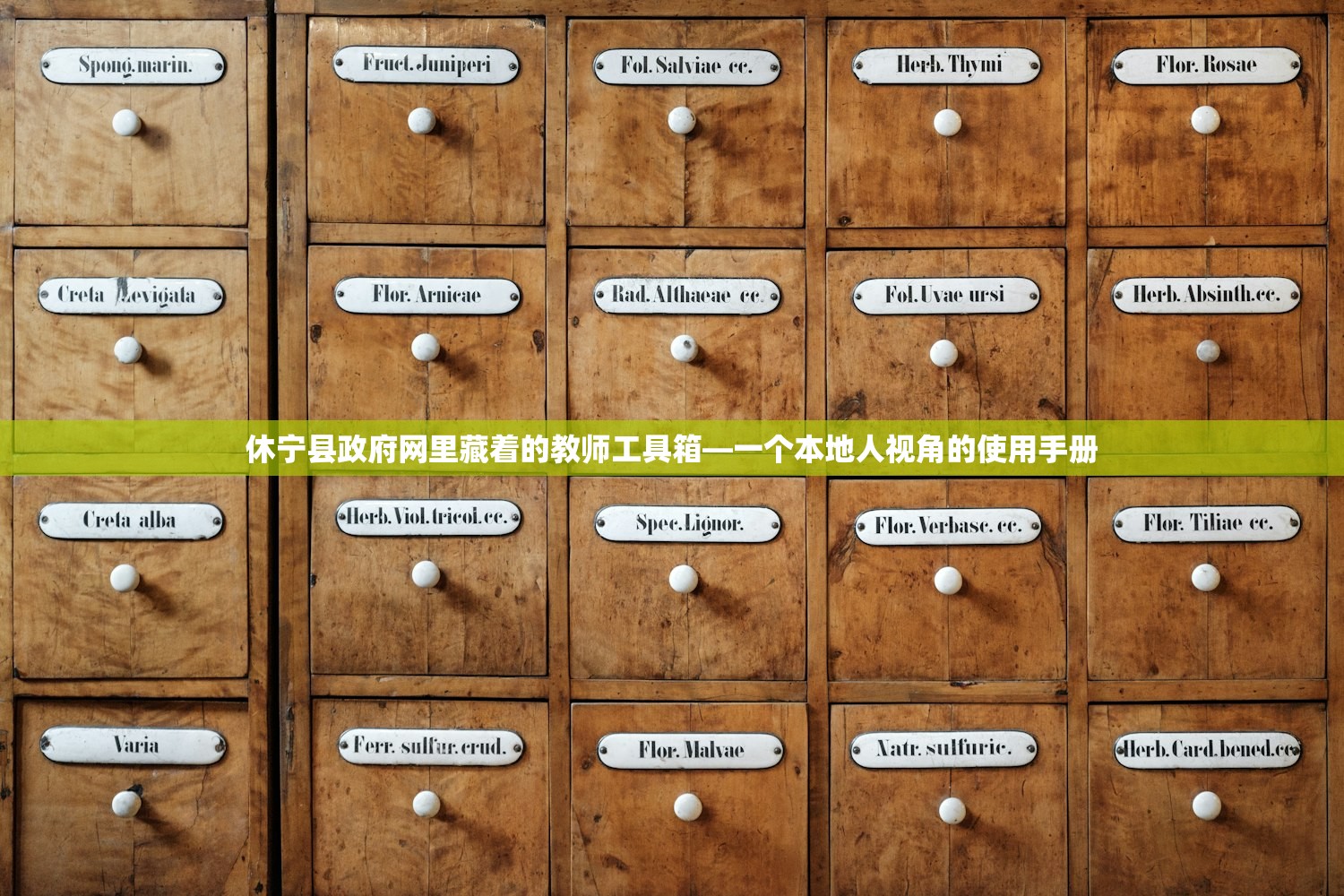 休宁县政府网里藏着的教师工具箱—一个本地人视角的使用手册