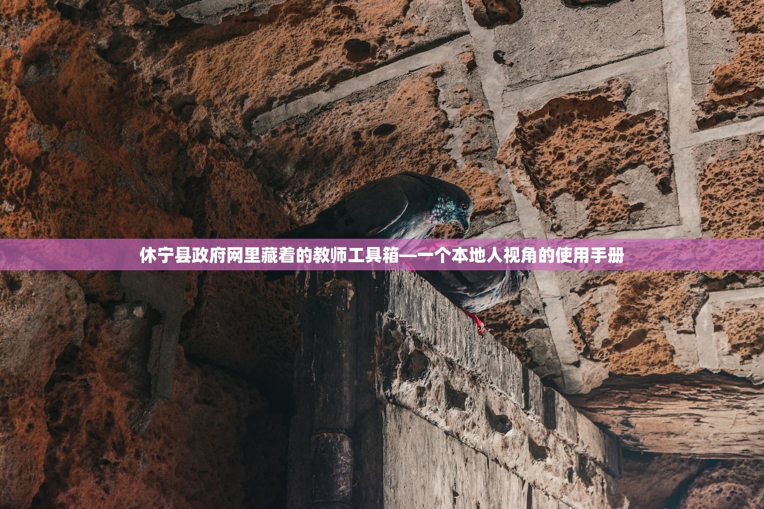 休宁县政府网里藏着的教师工具箱—一个本地人视角的使用手册