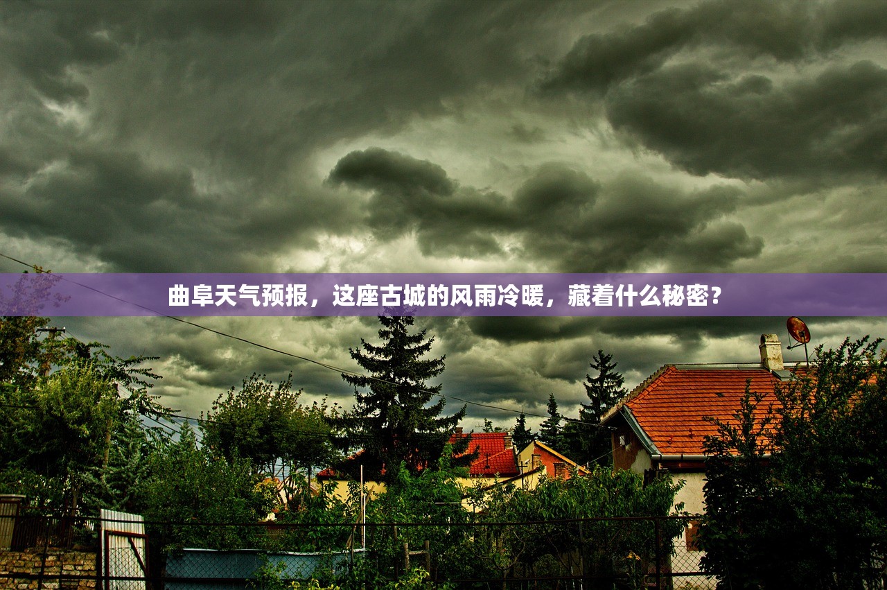 曲阜天气预报，这座古城的风雨冷暖，藏着什么秘密？