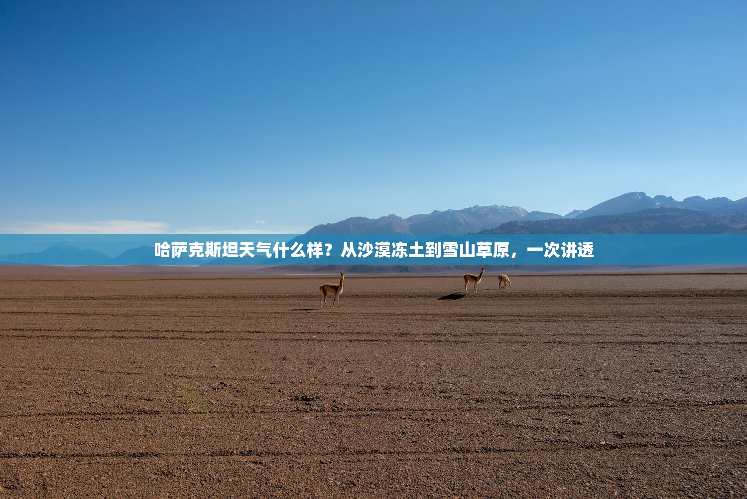 哈萨克斯坦天气什么样？从沙漠冻土到雪山草原，一次讲透
