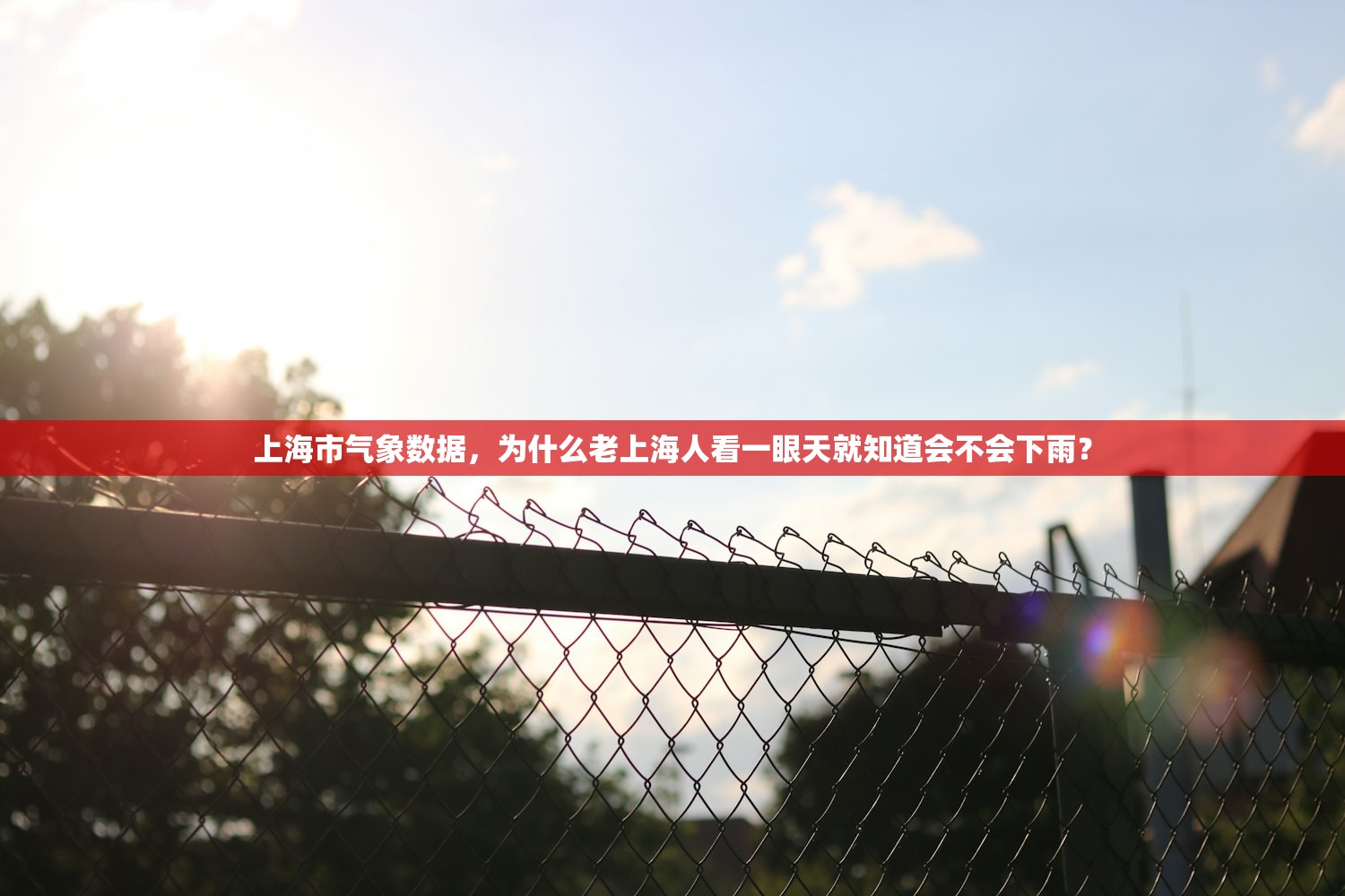 上海市气象数据，为什么老上海人看一眼天就知道会不会下雨？