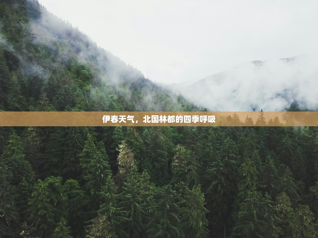 伊春天气，北国林都的四季呼吸