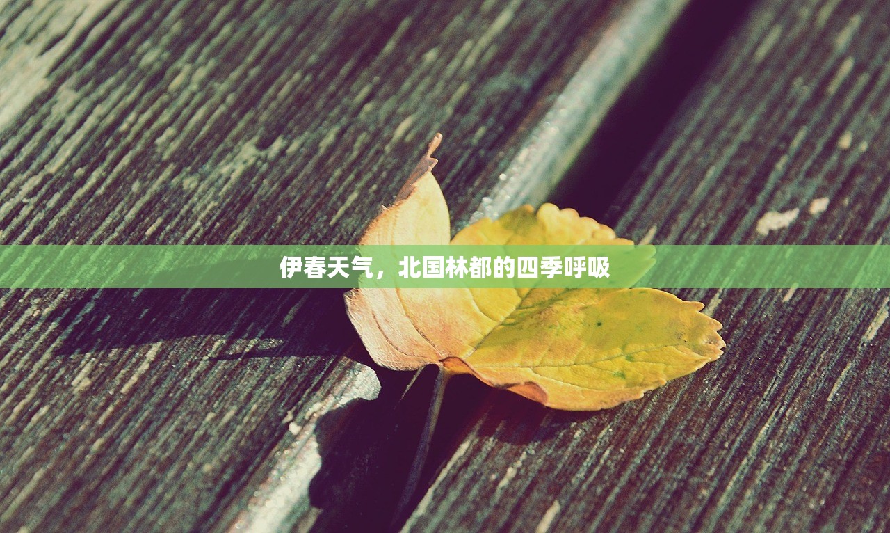 伊春天气，北国林都的四季呼吸