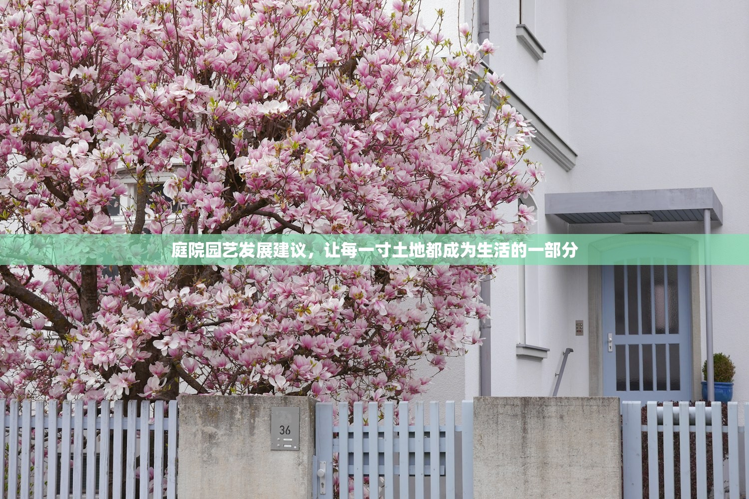 庭院园艺发展建议，让每一寸土地都成为生活的一部分