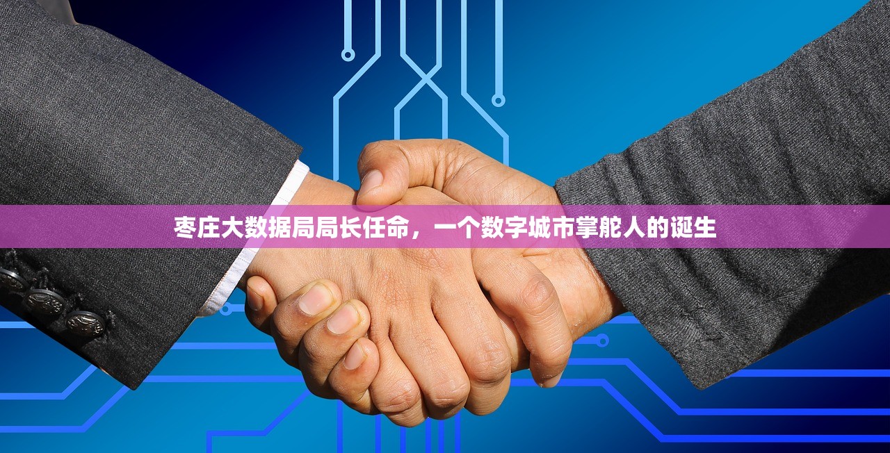 枣庄大数据局局长任命，一个数字城市掌舵人的诞生