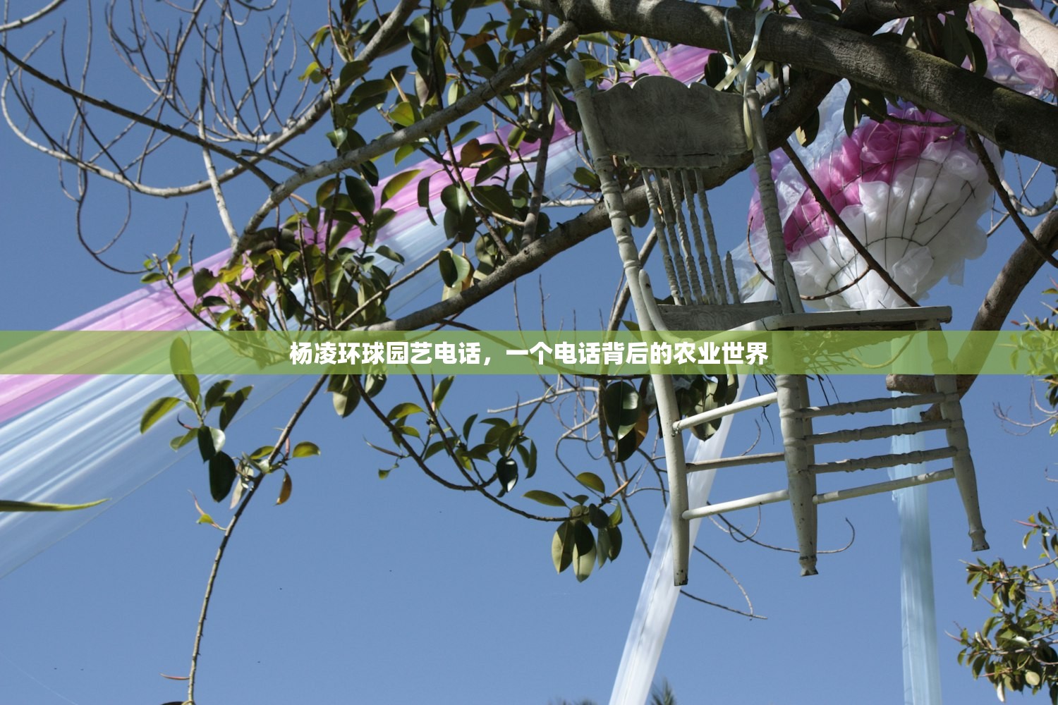 杨凌环球园艺电话，一个电话背后的农业世界