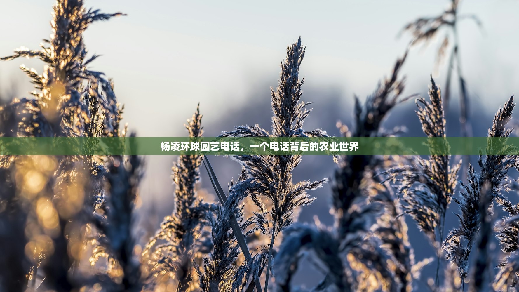杨凌环球园艺电话，一个电话背后的农业世界