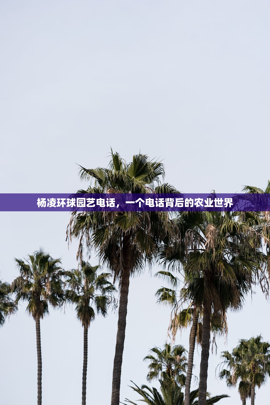 杨凌环球园艺电话，一个电话背后的农业世界