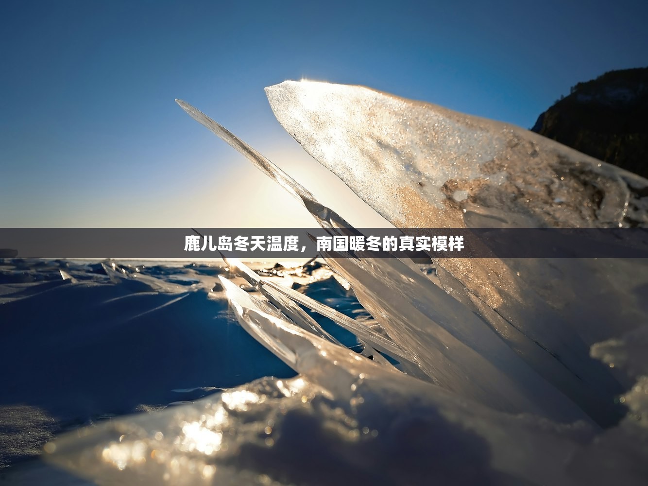 鹿儿岛冬天温度，南国暖冬的真实模样