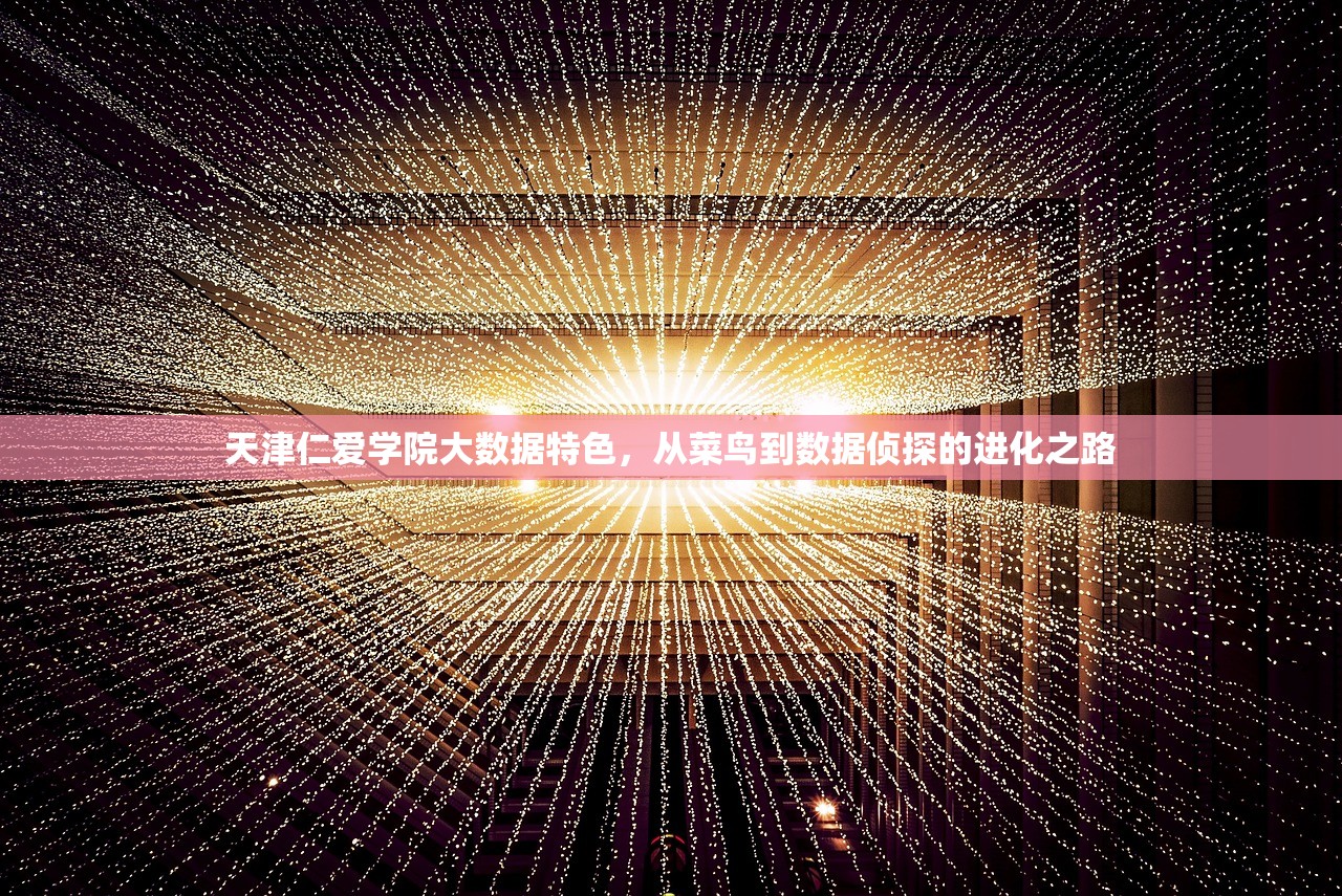天津仁爱学院大数据特色，从菜鸟到数据侦探的进化之路