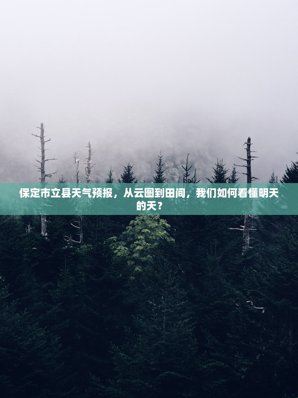 保定市立县天气预报，从云图到田间，我们如何看懂明天的天？