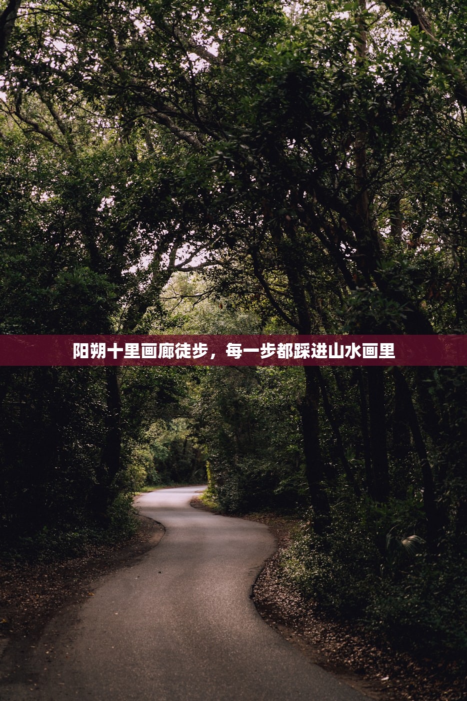 阳朔十里画廊徒步，每一步都踩进山水画里