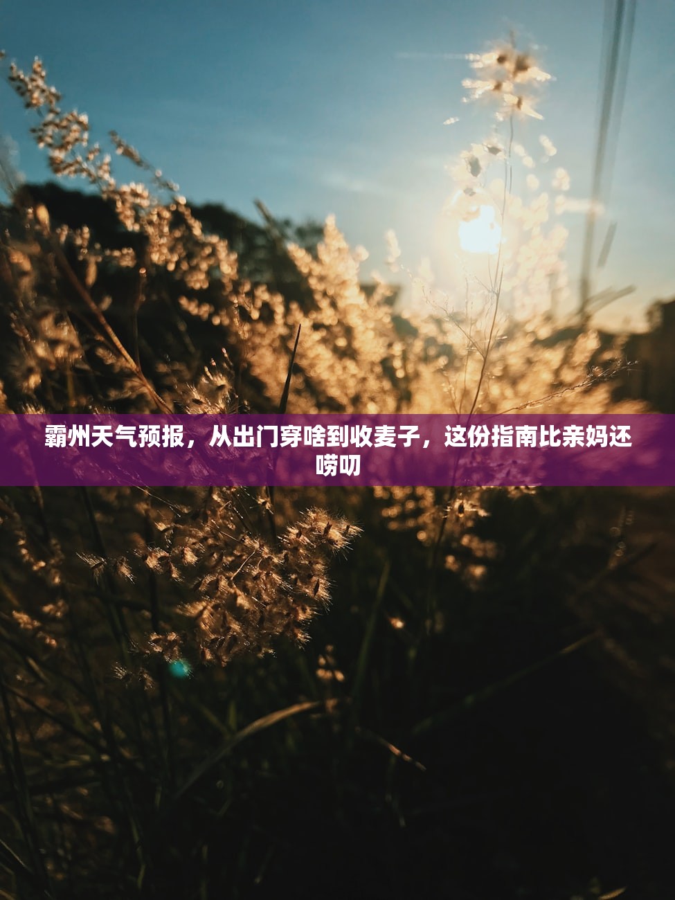 霸州天气预报，从出门穿啥到收麦子，这份指南比亲妈还唠叨