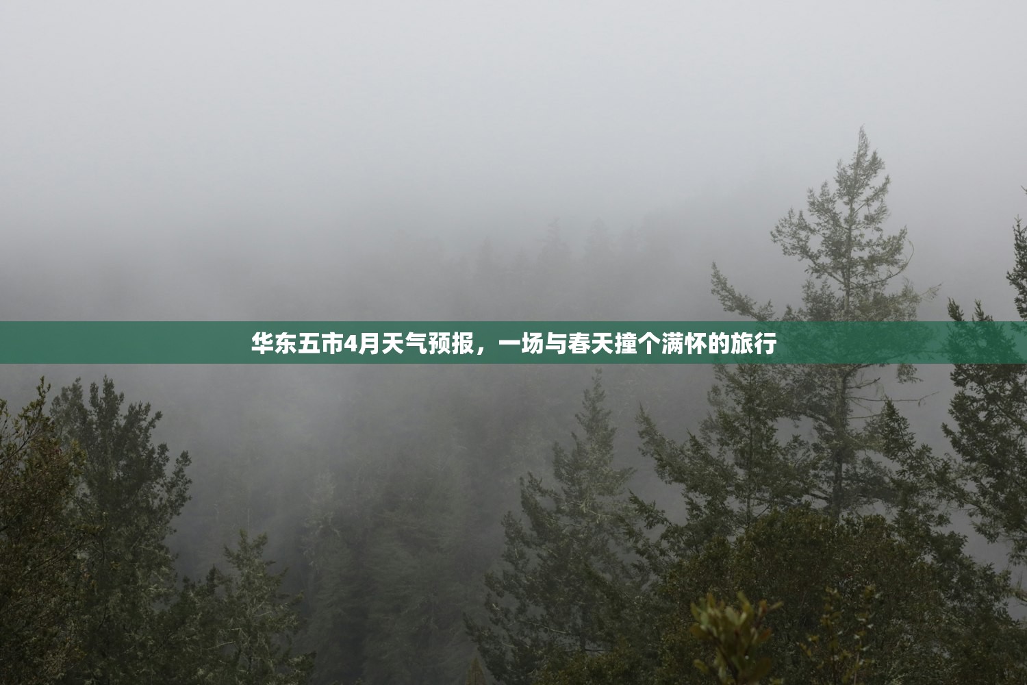 华东五市4月天气预报，一场与春天撞个满怀的旅行
