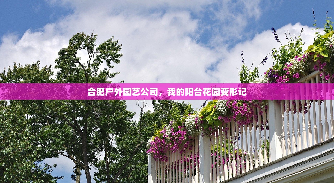 合肥户外园艺公司，我的阳台花园变形记