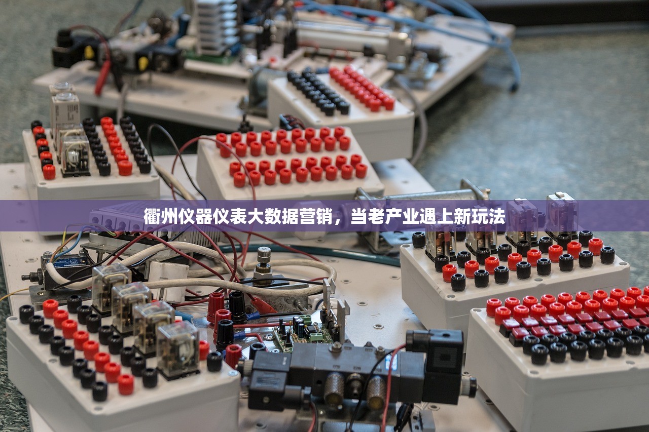 衢州仪器仪表大数据营销，当老产业遇上新玩法